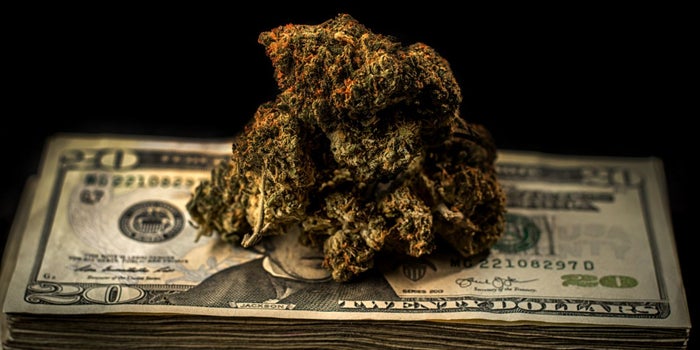 Study Warns Sky-High Marijuana Taxes Drive Consumers Back to the Black Market