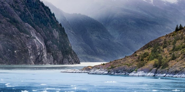 Protect the Environment, Protect Your Business
