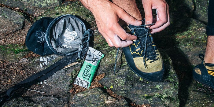 12 Burning Questions for the Entrepreneur Trying to Get You to Eat Bugs