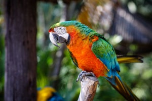 Talking About Culture Is Hard. This Unusual Method Makes It Easier.