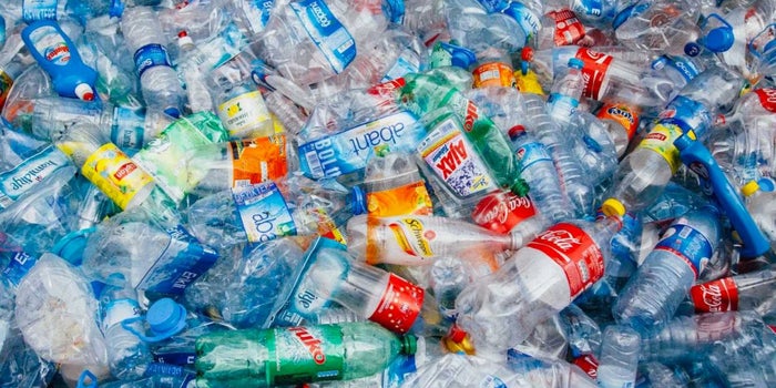 Scientists Accidentally Produce an Enzyme That Devours Plastic