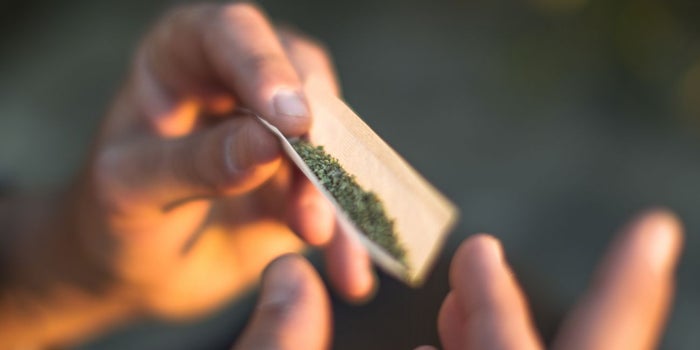 Survey Finds Potheads Will Spend Freely on 4/20 and Might Go to Work, If They Have Jobs
