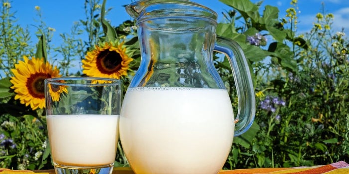 Analysing the Need for Digitization in Milk Distribution