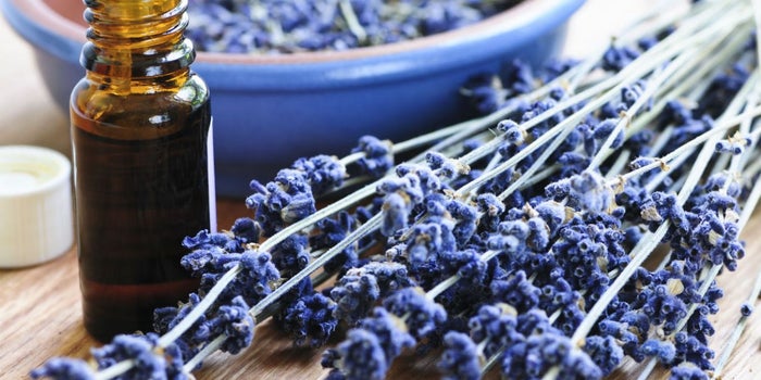 Atrévete a probar la aromaterapia para ser más productivo