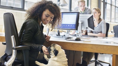 It's Bring Your Dog to Work Day! What You Need to Know to Make Your Office Pet-Friendly.