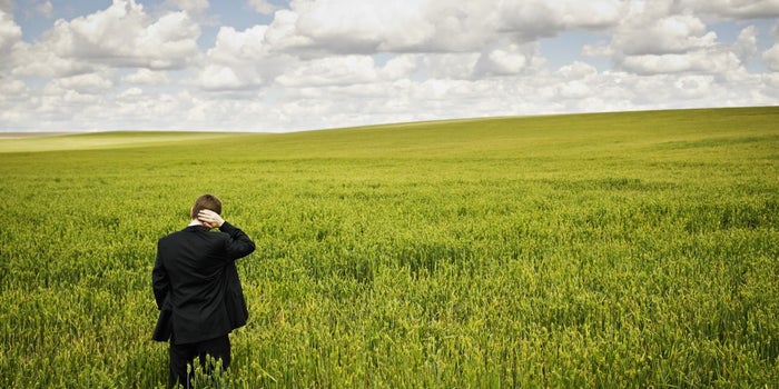 Thinking of Pursuing Greener Pastures? 3 Questions Entrepreneurs Should Ask Themselves Before Taking That Plunge