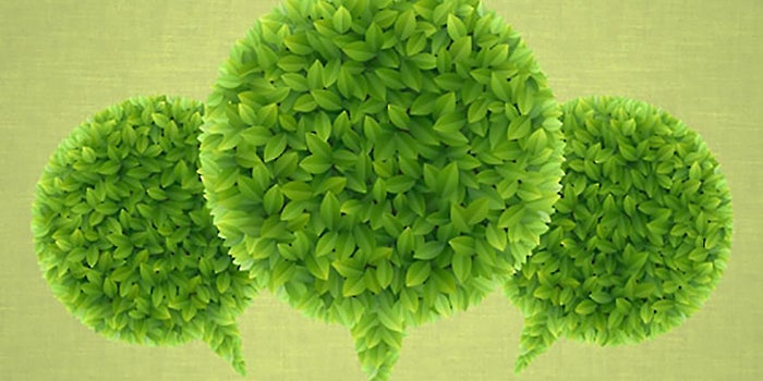 3 Promising Green Startups Attracting Millions From Investors