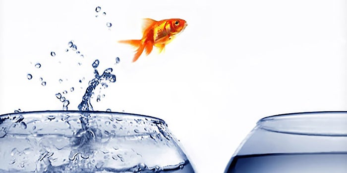 4 Steps for Handling a Key Employee's Departure