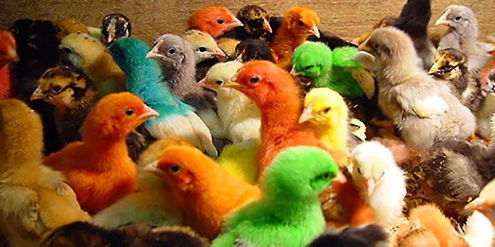 4 Ways to Cultivate Greater Diversity in Your Business