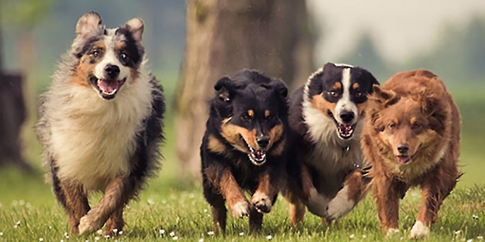 4 Ways to Turn Happiness into a Competitive Advantage