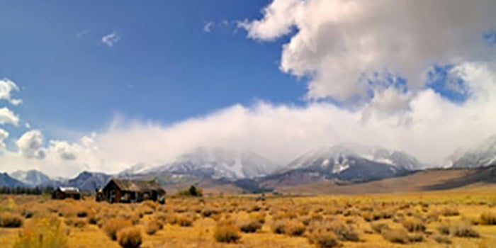 5 Companies to Watch in the Silicon Prairie