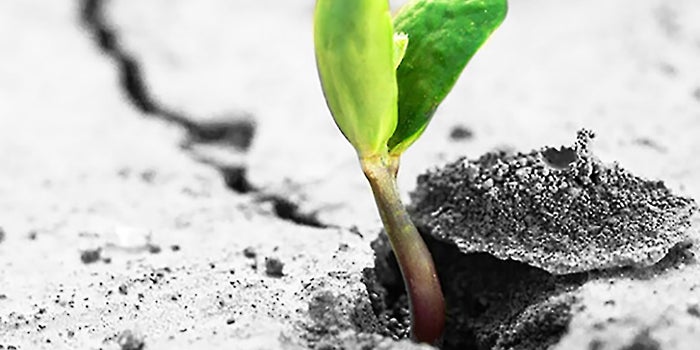 How to Know If Your Business Has Outgrown QuickBooks