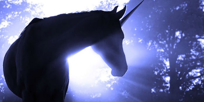 Empresas unicornio, ¿el inicio de una nueva burbuja?
