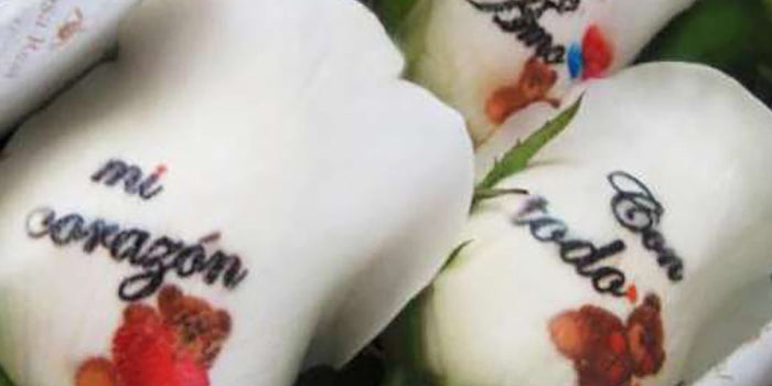 Flores impresas