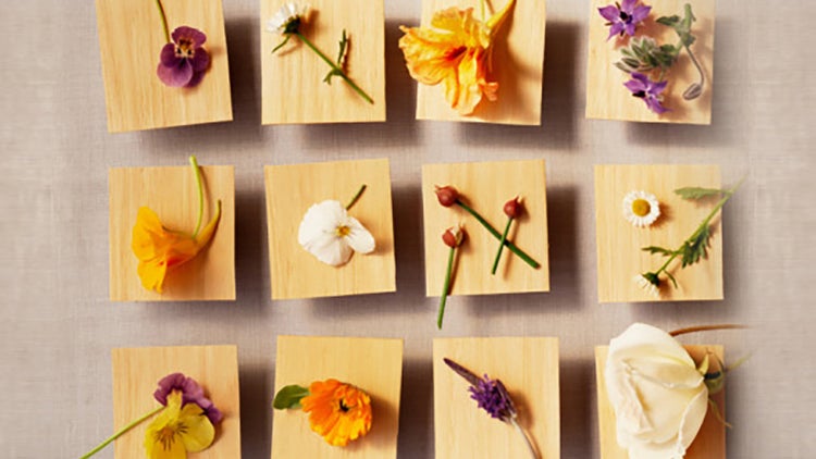Negocio de flores comestibles