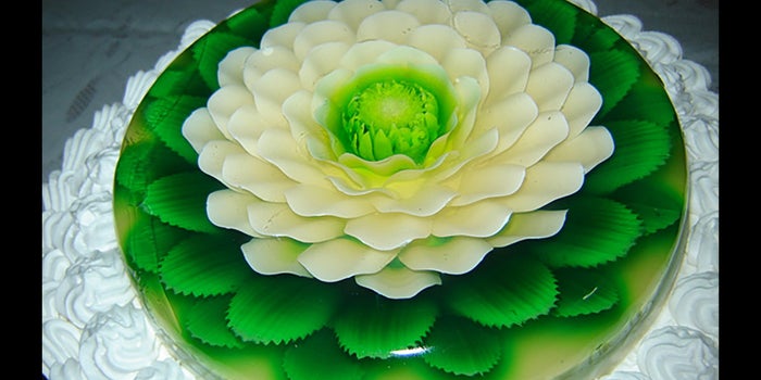 Gelatinas artesanales
