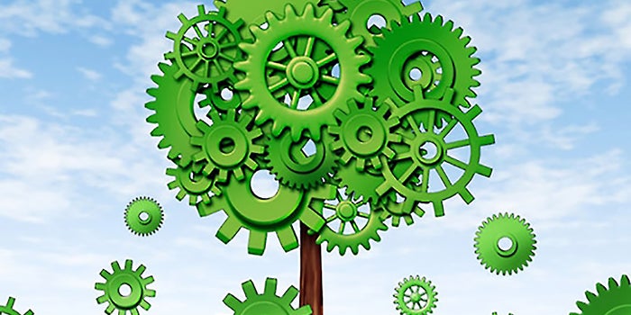What to Consider Before Your Business Expands