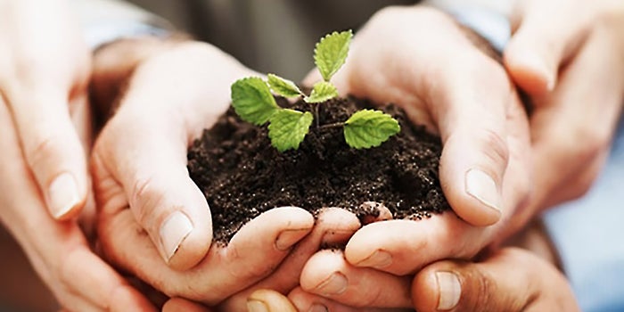 Building a 'Growth Team' and Other Tips This Week