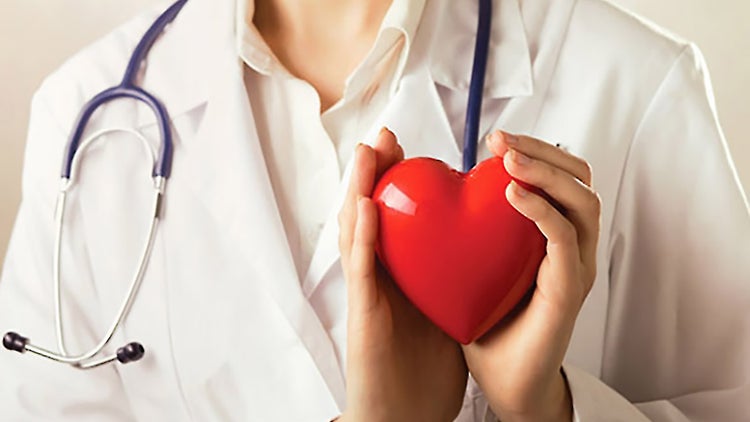 Best health care options for small businesses