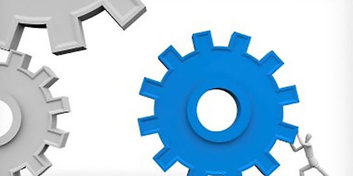 How Systems Can Help You Through the Haze, Daze and Craze of Starting a Business