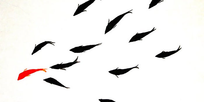To Be a Leader, You Must Know When to Follow