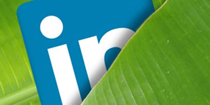 LinkedIn SEO: How to Increase the Visibility of Your Business Profile