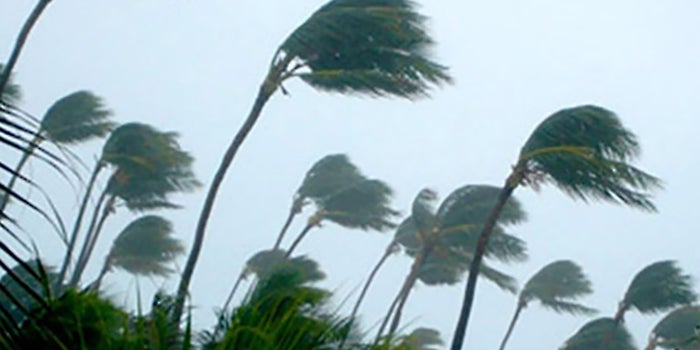 Manage Through the Unthinkable With a Disaster Plan