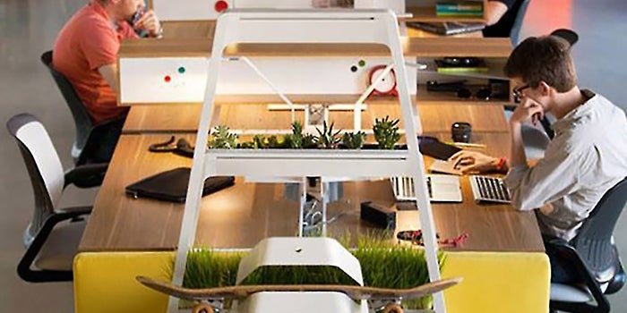 Office Space and Communication Tips and Tricks From a Workplace Anthropologist
