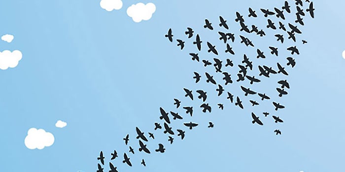Partnering Your Way to Startup Success