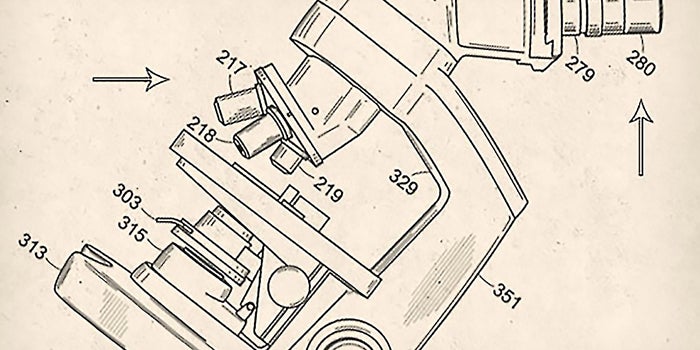 Patent vs. Market Penetration: Where Should Your Focus Be?