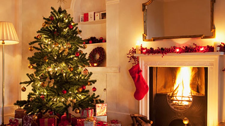 Renta de árboles de Navidad