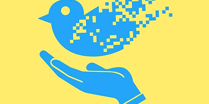 How the SEC and Bloomberg Are Embracing Social Media