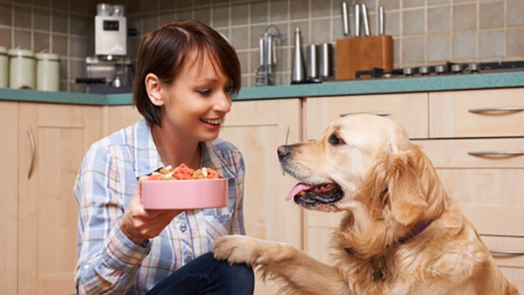 Servicio de nutrición para mascotas