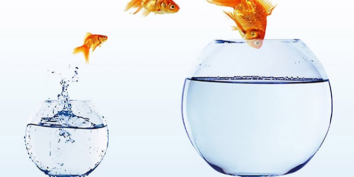 Why Startups Should Take a Big-Brand Approach to Marketing