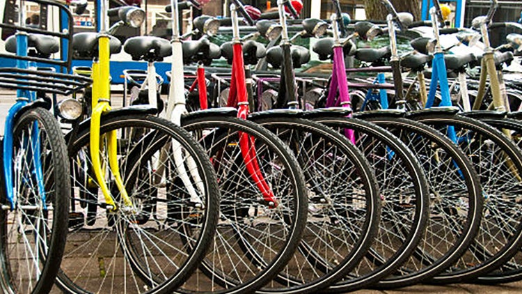 Tienda de bicis y cafetería