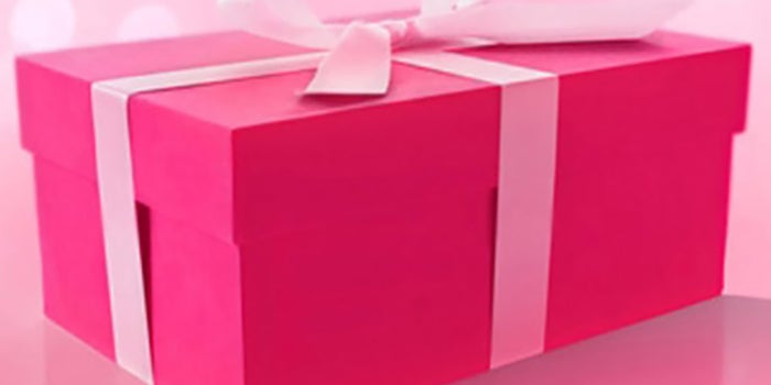 The Two Ps of Consumer Behavior: (Seeking) Pleasure and (Skirting) Pain