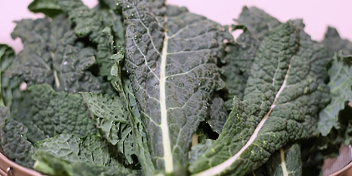 What's the Next Kale? How Business Owners Can Capitalize on Food Trends
