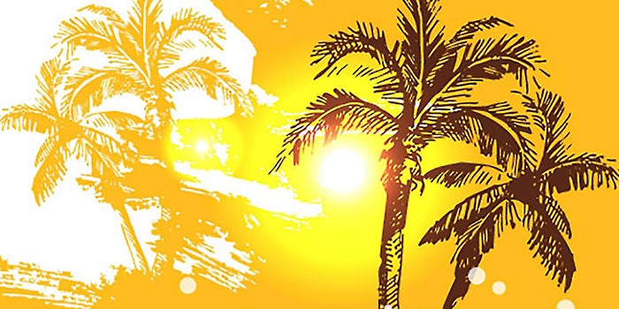 Your Last-Minute Summer Vacation Survival Guide