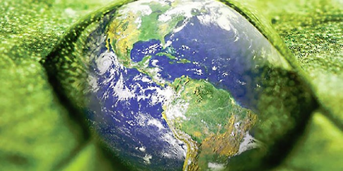 Companies That Care About Climate Change Make More Money