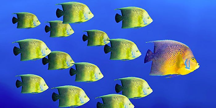 6 Characteristics Great Thought Leaders Share