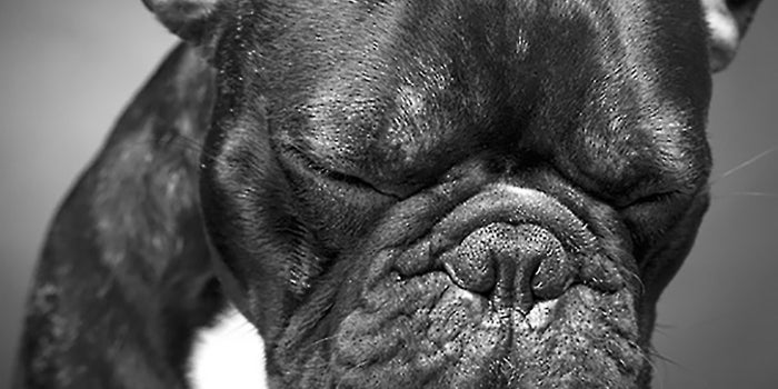 6 Types of Clients You're Better Off Without