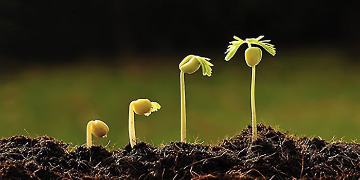 4 Questions to Ask Before Doing a National Product Rollout