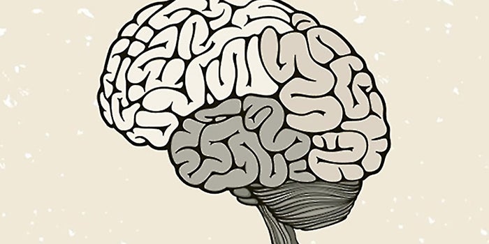 4 Strategies for Making Your Product 'Smarter'