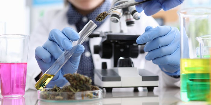 How Technology Will Keep Cannabis Afloat During The Pandemic