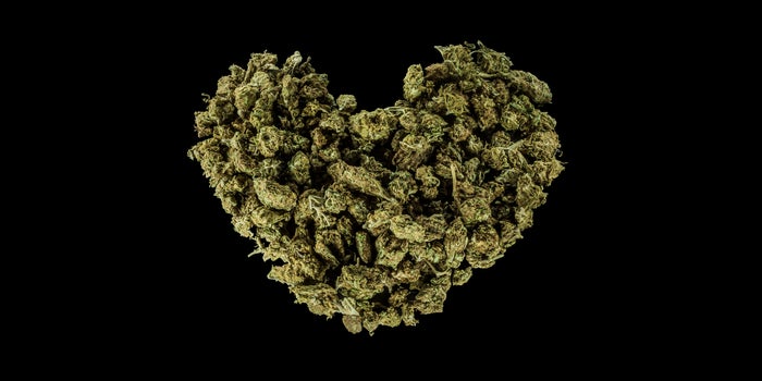 3 Cannabis Companies' Corporate Social Responsibility Lessons They've Learned From Crisis