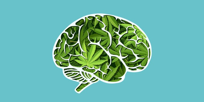 Recent Research Indicates That Cannabis Lowering IQ Is A Myth