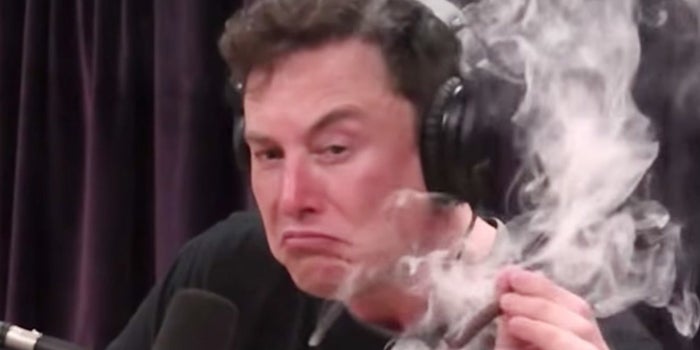 Elon Musk Speaks Out Against Cannabis Convictions
