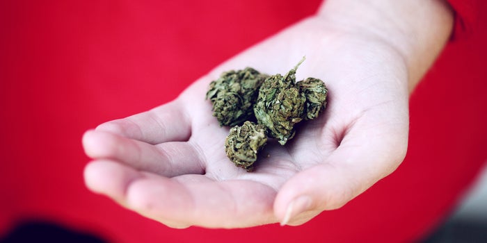 The Role Marijuana Legalization Can Play In Fighting Racial Injustice