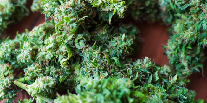 5 Things You Probably Don't Know About Cannabis Compliance
