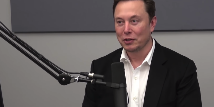 Elon Musk dará avances sobre Neuralink, la empresa que fundó para conectar computadoras al cerebro